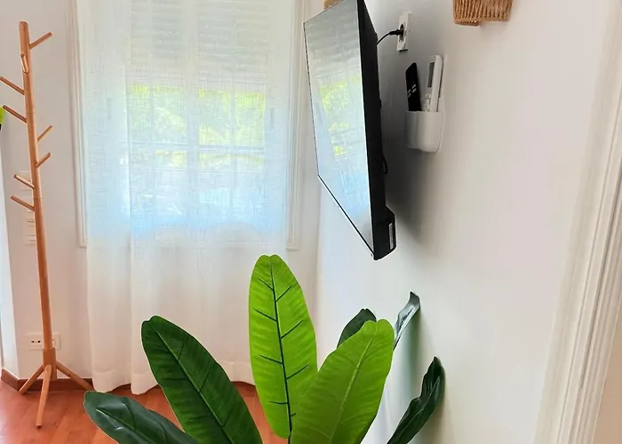 Skol * マルベーリャ